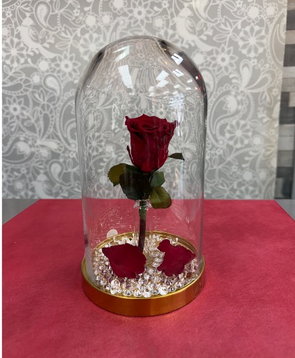 Eternal Red Rose  Globe 