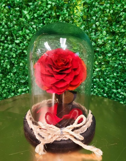 Eternal rose  