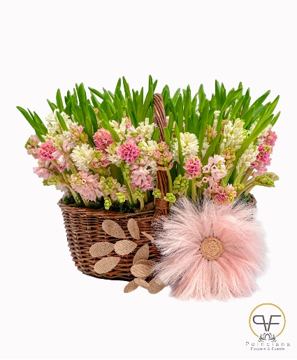 ETERNAL SPRING 