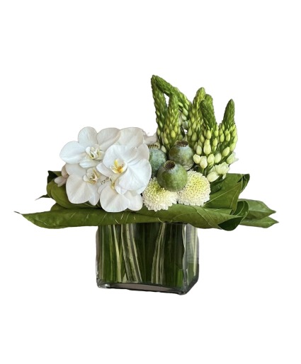 Ethereal Arrangement 