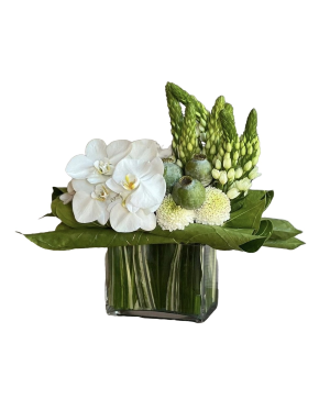  Ethereal Arrangement 