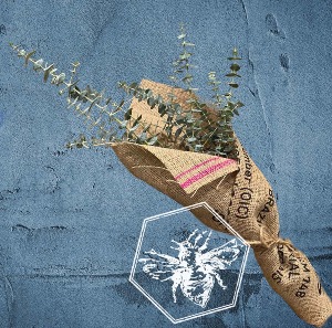 Eucalyptus Shower Bundle Unique B Nest Gifts