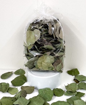 Eucalyptus Wedding Confetti  Dried Confetti 