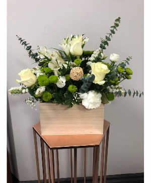Eucalyptus whites 