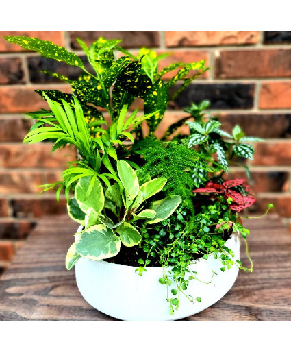 Euro Garden European Rustic Dish Garden