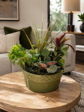 EURO GARDEN IN CERAMIC DECOR PLANTS