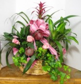 Euro Garden mixed plant basket