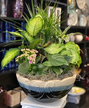 EuroGarden 