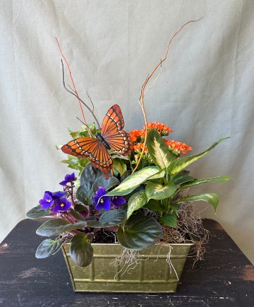 Butterfly Dish Garden  in La Grande, OR | FITZGERALD FLOWERS