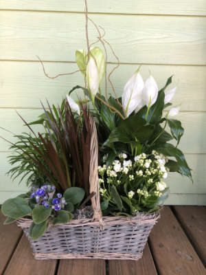 Large European Garden Plant Basket 