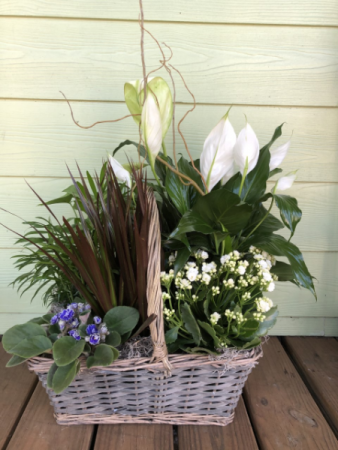 Large European Garden Plant Basket 