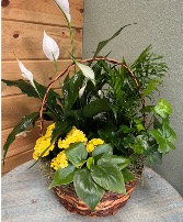 European Garden 