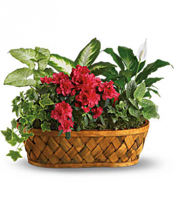 EUROPEAN GARDEN BLOOMING BASKET 