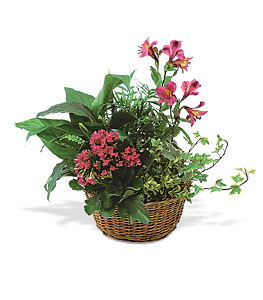 EUROPEAN GARDEN Blooming Basket