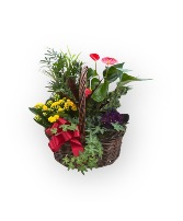 European Garden Primary Plant Basket