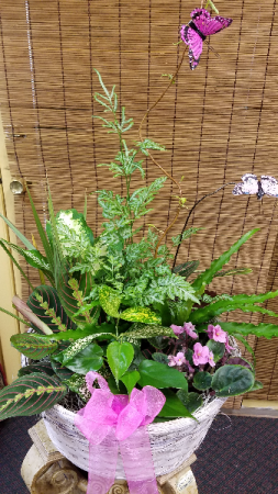 European Mixed Garden  