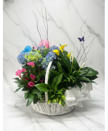 European Plant Basket  in Monroe, NC | MONROE FLORIST & GIFTS