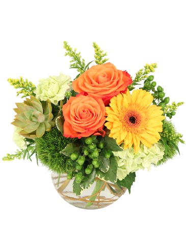 Evening Ember Flower Arrangement in Darien, CT | DARIEN FLOWERS