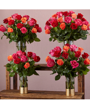 EVER EVER AFTER ROSES  