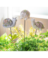 Evergreen Critter Stakes 