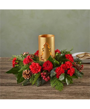 EVERGREEN GLOW CENTERPIECE HOLIDAY