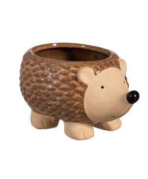Evergreen Hedgehog Pot 