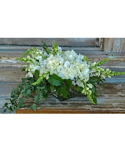 Everlasting Elegance Simple White Arrangement