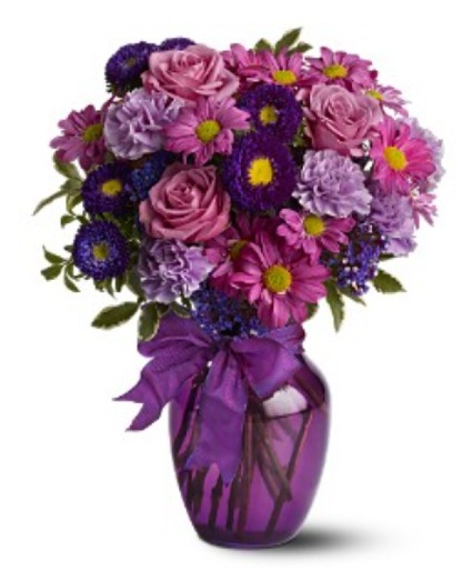 Everlasting Lavender 