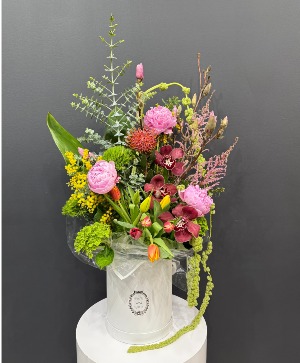 Exotic Blooms 