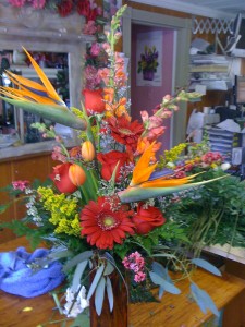 Exotic Elegance Exotic with Bird of Paradise