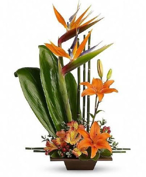 Exotic Grace Container arrangement