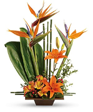 Exotic Grace Contemporary