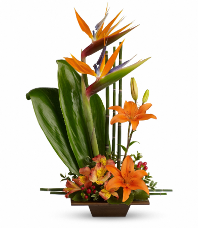 Exotic Grace Fresh Arrangement