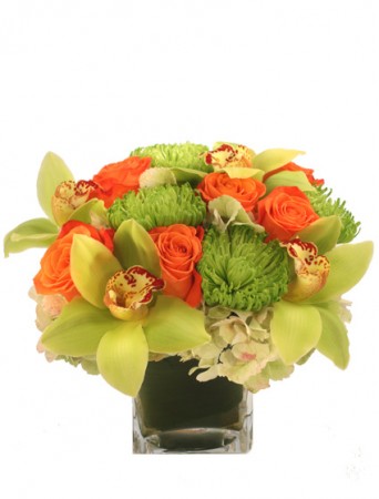 Exotic Greenness Bouquet in Cassopolis, MI | VILLAGE FLORAL