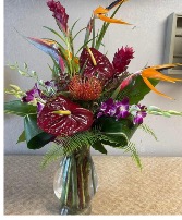 Exotic Paradise  Tropical 