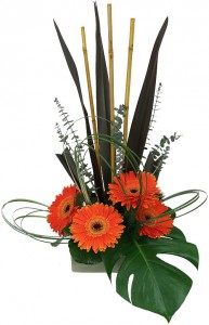 EXOTIC ZEN Arrangement