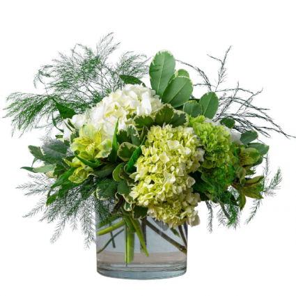Express  Arrangement