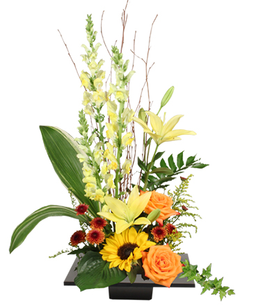 Expressive Blooms Arrangement in Marmaduke, AR | Choco Taco Florist ***TEST SHOP****