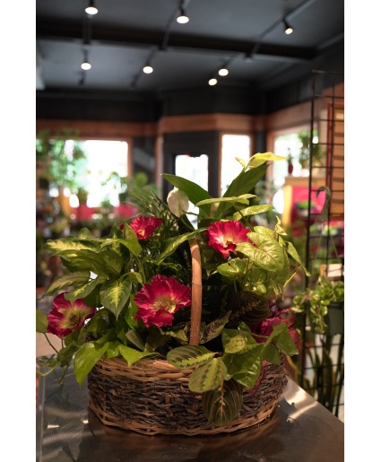 Exquisite Foliage  Dishgarden with Silk Trim