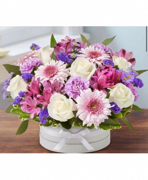 Exquisite gift  