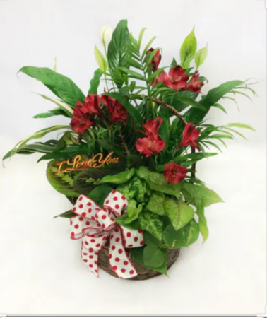 Extended I Love You Dish Garden  Assorted Plants 