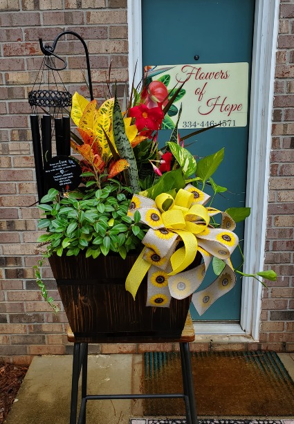 Extra Large Blooming Dish Gardens  