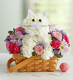 FABULOUS FELINE  