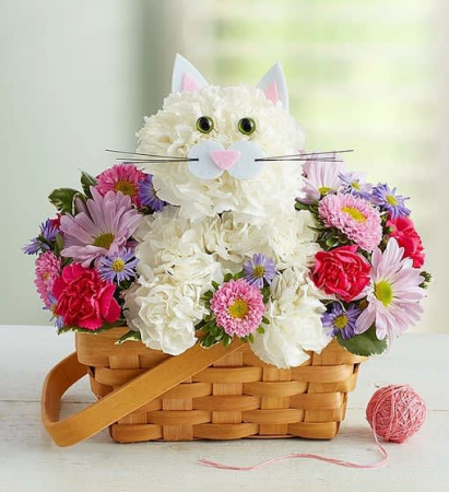 FABULOUS FELINE 