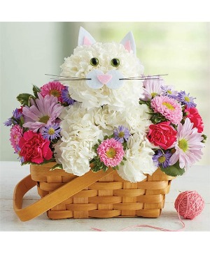 Fabulous Feline 