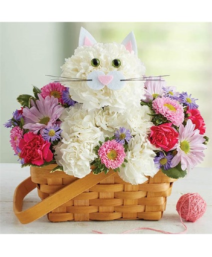 Fabulous Feline 