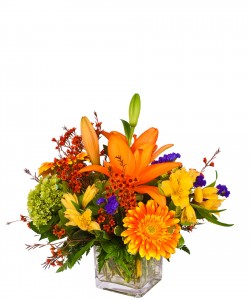 FALL A GLOW Arrangement