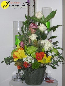 High Style-Abundance 
