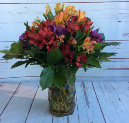 Fall Alluring Alstroemeria 
