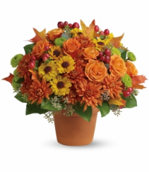 F100 - Fall Around Beauty Fresh Arrangement 